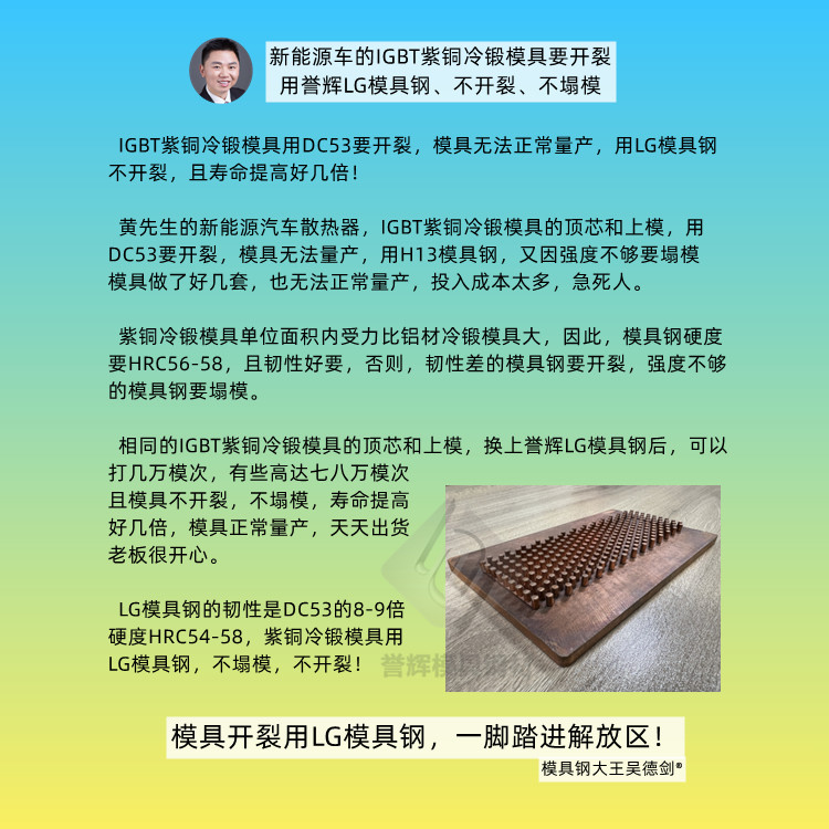 比亚迪的模具，有指定是誉辉LG材质