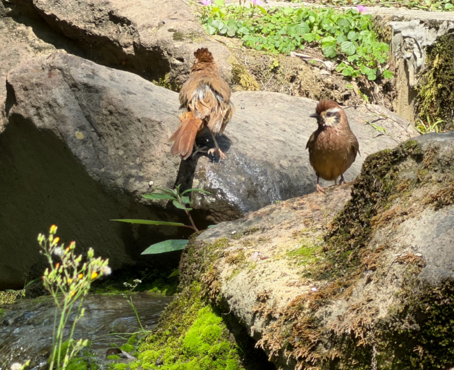 人安静下来，就会胡思乱想